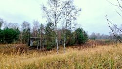 Blick vom Bunkerberg