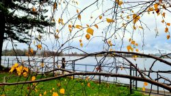 Havelblick an der Frieda-Arnheim-Promenade