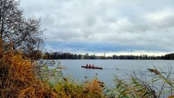 Ruderer auf der Havel an der Eiswerder Brücke
