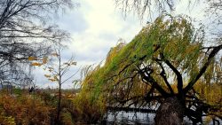 Havelblick an der grossen Malche