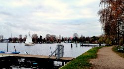 Ein einsamer Segler auf dem Weg zum Tegeler See