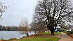 Havelwege mit wunderschönen alten Bäumen