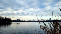 Havelblick von der Havelpromenade