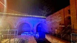 Lichtspiele am Hafenbecken