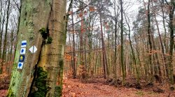 Auf vielen Wegen unterwegs