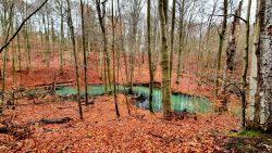 Skuriles Farbspiel im Fließ