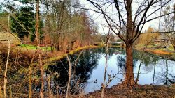 Die Schwärze bei Spechthausen