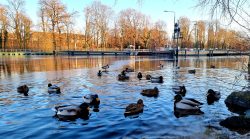 Blick auf die Schleuse, im Hintergrund die Zitadelle Spandau