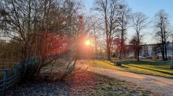 Die Sonne senkt sich im Wröhmännerpark Spandau