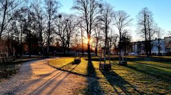 Licht und Schatten im Wröhmännerpark