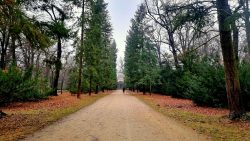 Sichtachsen, die das Herz höher schlagen lassen