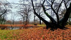 Blick auf den Teichgraben