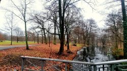 Weitläufige breite Wanderwege im Park