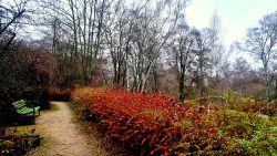 Verschlungene Seitenwege