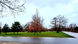 Park am Gleisdreieck