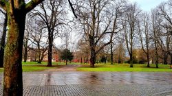 Ein Blick in den Münsinger Park