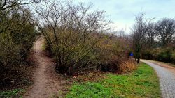 Am Rodelberg im Spektefeld