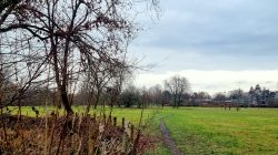 Der weite Blick ins Spektefeld