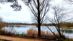 Am großen Spektesee