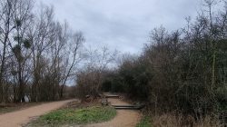 Sandwege am Spektesee