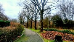 Wege an der Spektelake