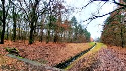 Blick in den Schwarzen-Graben-Kanal, Nähe Flughafensee
