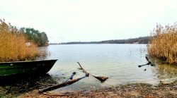 Am Ufer des Flughafensees