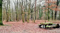 Neon-Street-Art auf Holz