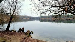 Blick über den Flughafensee, Westufer