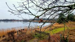 Ein letzer Blick auf den Flughafensee