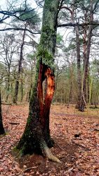 Der Weg in eine andere Welt?