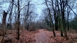 Die Wege bei Saatwinkel