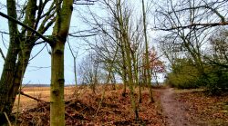 Auf dem Mauerweg in die karge Landschaft am Hahneberg