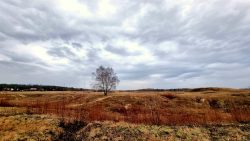 hügelige Wildnis mit fantastischem Wolkenspiel