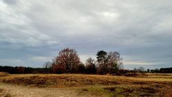 Die Wolken ziehen vorbei und es regnet und regnet