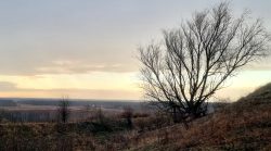 Dort am Horizont, der erste blaue Streifen