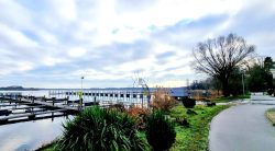 Blick über die Steganlagen am Möserschen See