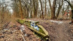 Bahnsteiganlage, Düppel-Süd