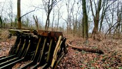 Gleisanlagen am alten Bahnhof Düppel