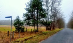 Asphaltierte Wege auf der Eberswalder Chaussee