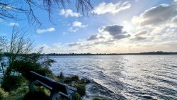 Blick von der Halbinsel Dämeritzsee