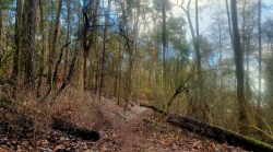 Naturpfade in den Müggelheimer Wiesen
