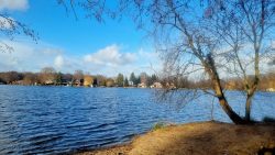 Blick auf den kleinen Müggelsee im Sonnenschein