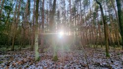 Der Jakobsweg im Spot-Light