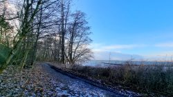 Feste Uferwege bei stürmischem Wetter, Am Müggelsee