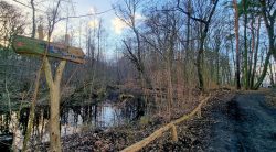 "Der Thyrn" ökologisch wertvolles Biotop