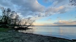 Blick auf den Müggelsee kurz vor Friedrichshagen