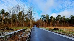 Schnurgerade asphaltierte Wege auf dem Wilkendorfer Weg