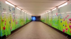 UBahnhof Kienberg, Gärten der Welt, schon hier ein Blumenmeer