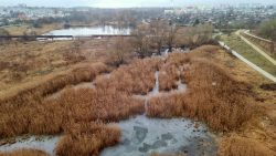 Moorlandschaften aus der Höhe